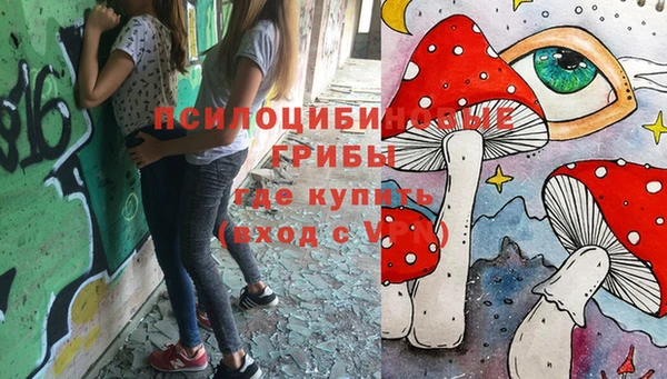 ГАЛЛЮЦИНОГЕННЫЕ ГРИБЫ Армянск